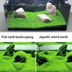 Mysteryhigh aquarium seed set big cow hair for textured foliage