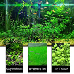 Mysteryhigh aquarium seed set heart-shaped grass for charming silhouettes