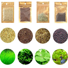 Mysteryhigh aquarium seed set leaves for lush underwater habitat and color