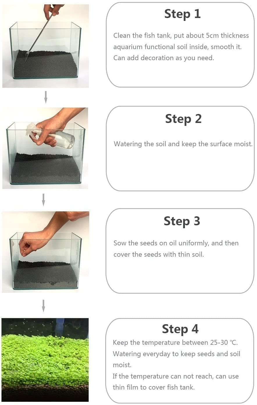 Mysteryhigh seed set packaging showing easy setup for aquariums