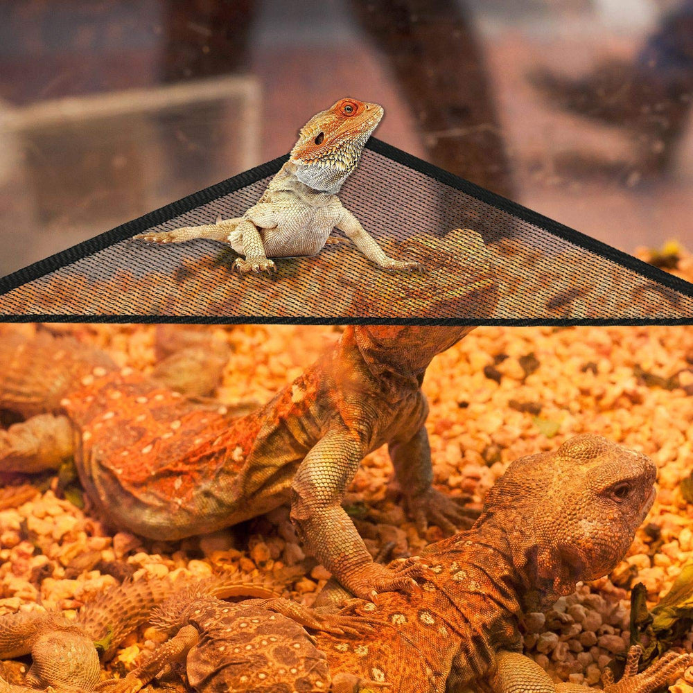 Mytagos lizard-hammock-triangular-design provides compact habitat extension