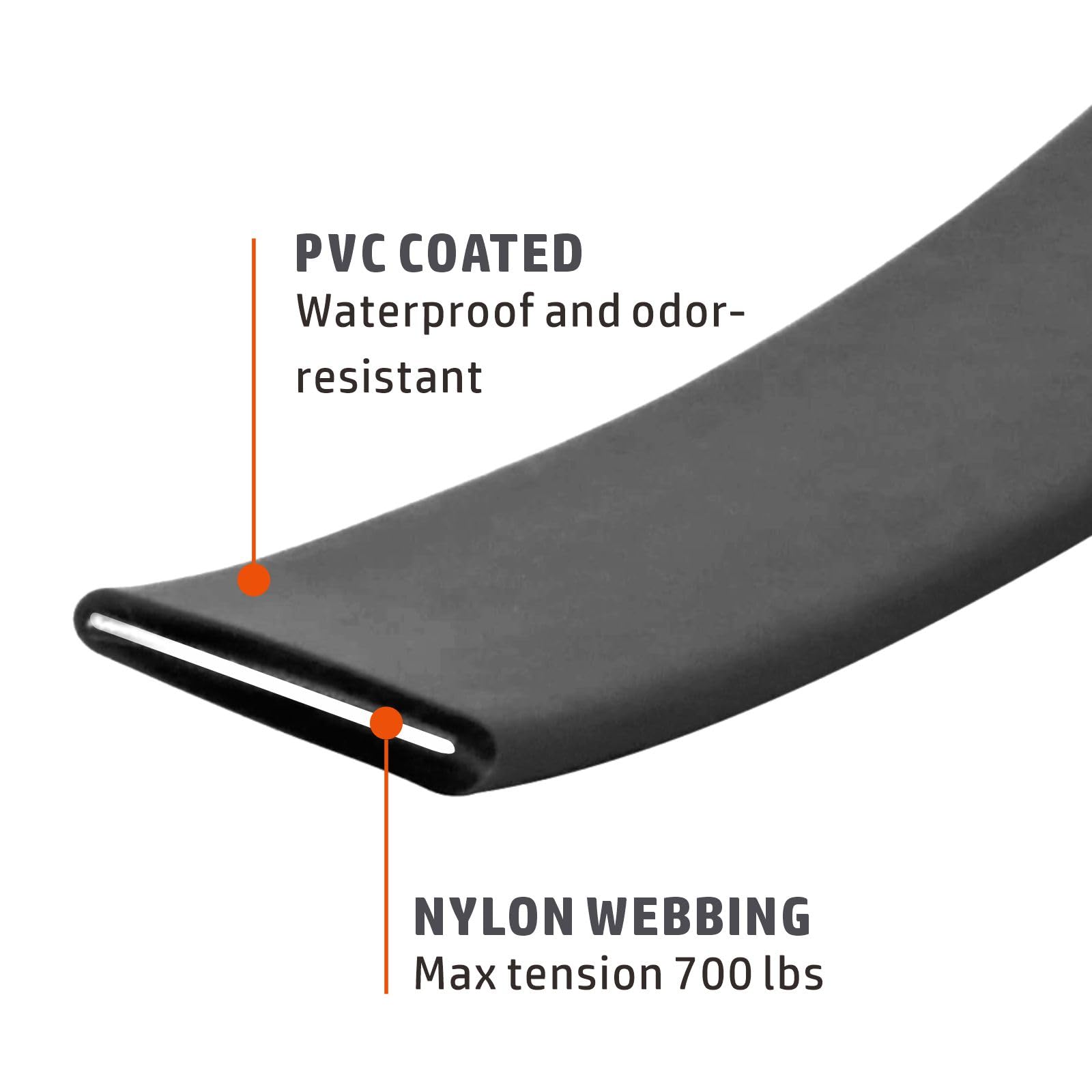 myyAA 30ft long leash outdoors shows versatile recall-training and exploration.