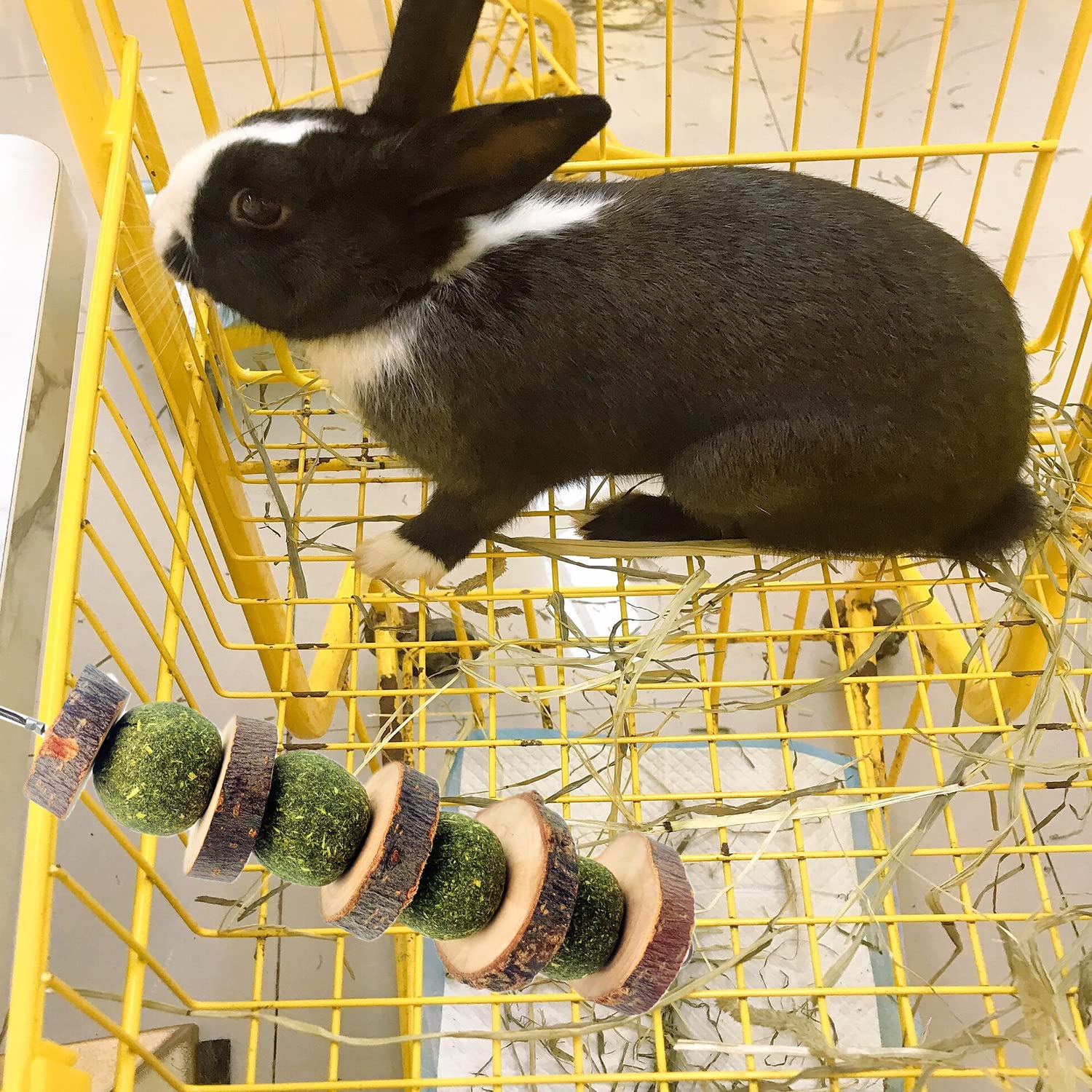 MYYZMY apple wood sticks help small pets explore and relieve boredom during cage time