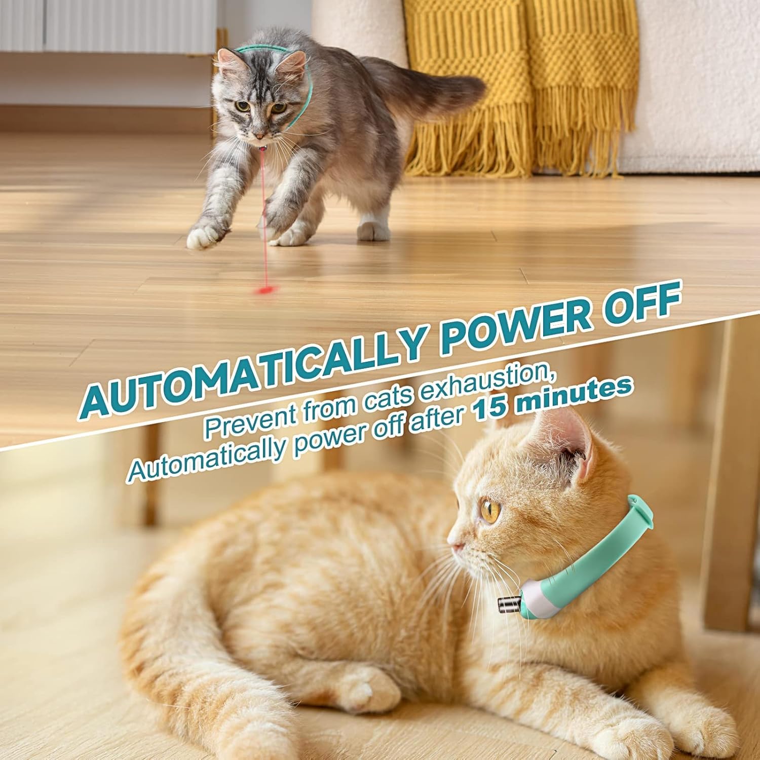 MZINGALL adjustable collar fits cats from 8 to 12 inches.
