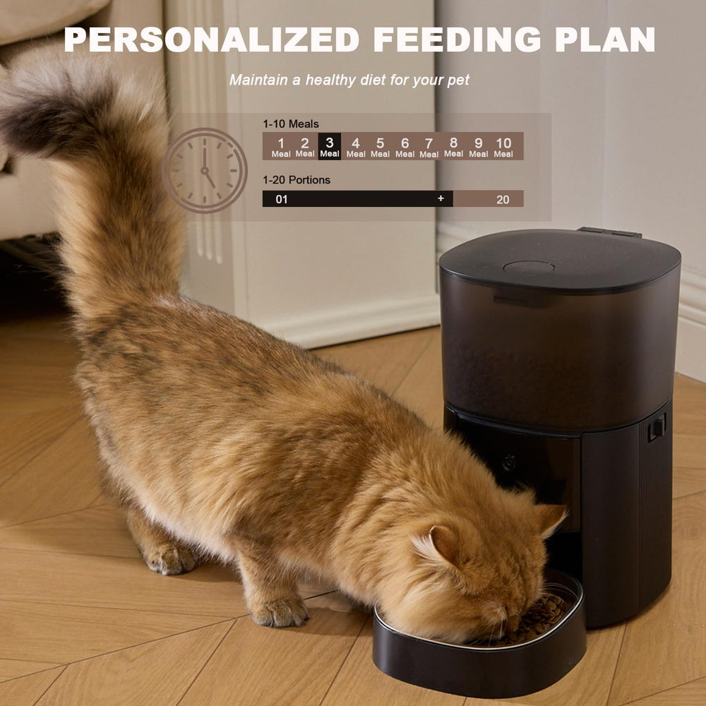 MZZ automatic feeder four-liter capacity reduces refills and manages portions