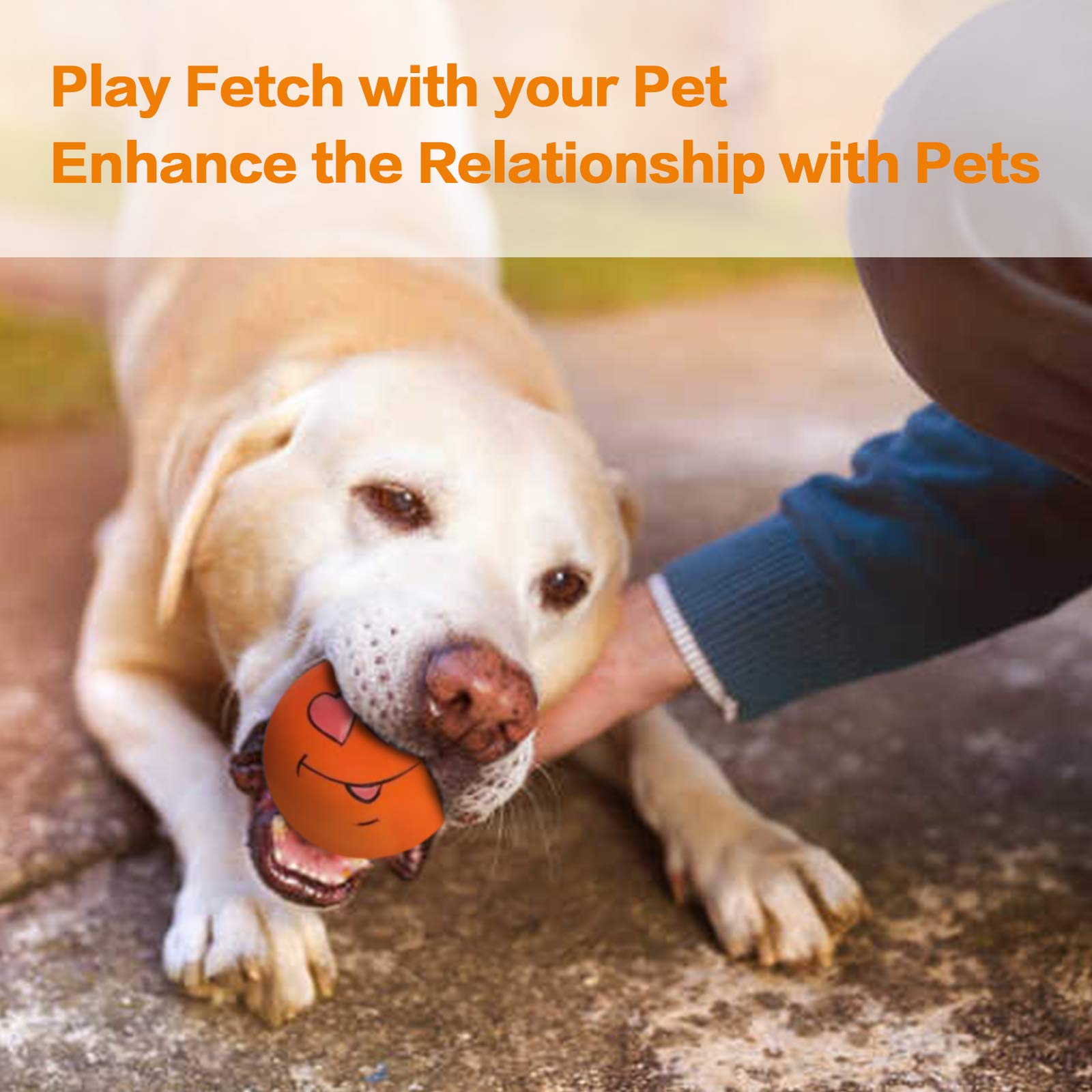 N-S dog toy promotes fetch and solo play sessions.