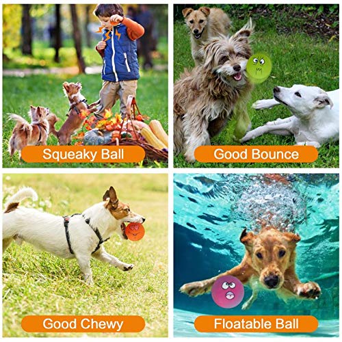 N-S dog toy with funny face encourages interactive play.