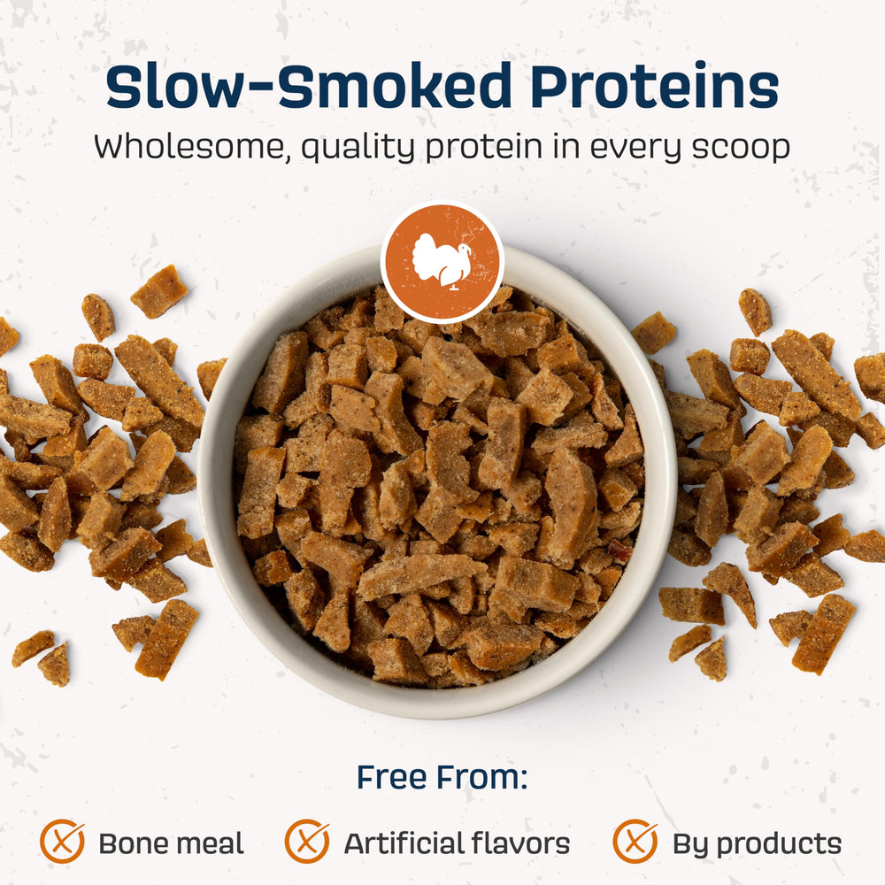 NAAVI probiotic-immunity-gut-health image suggests digestive support opportunities