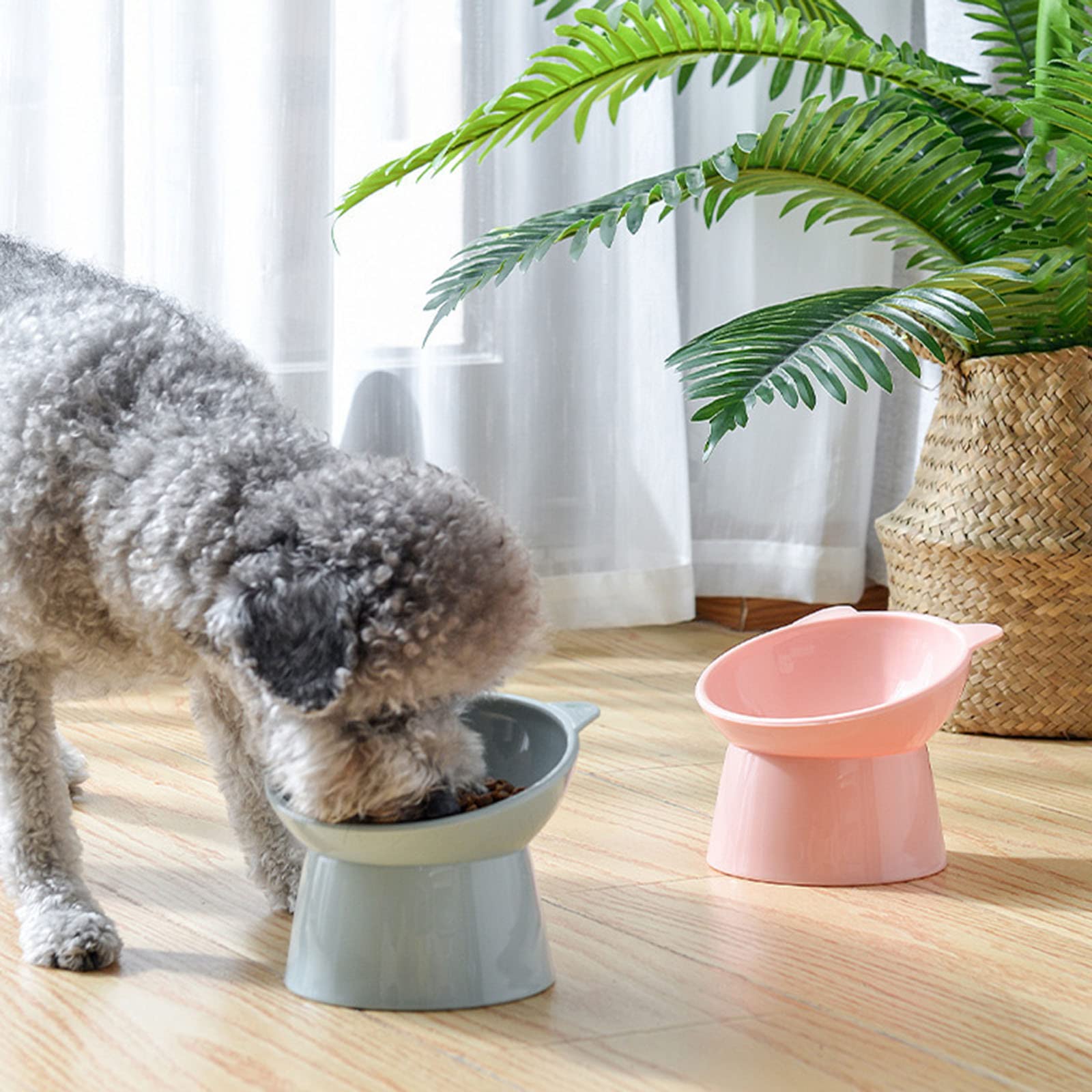 NABOKIO durable ABS cat bowl features smooth edges for safe meals.
