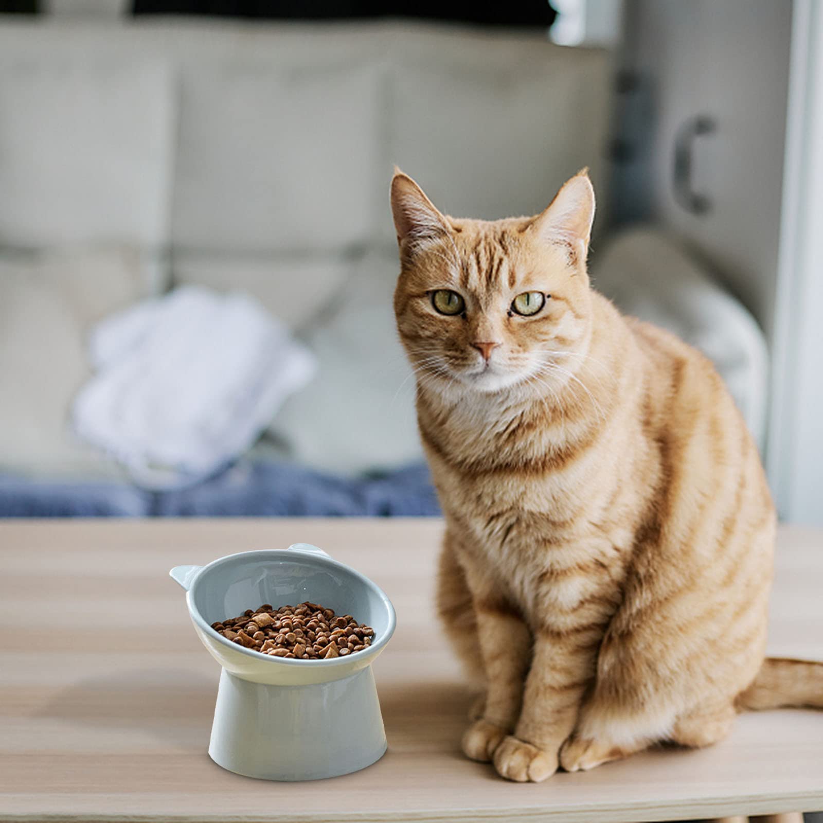 NABOKIO tilted cat food bowl blue – non-slip base keeps bowls steady.
