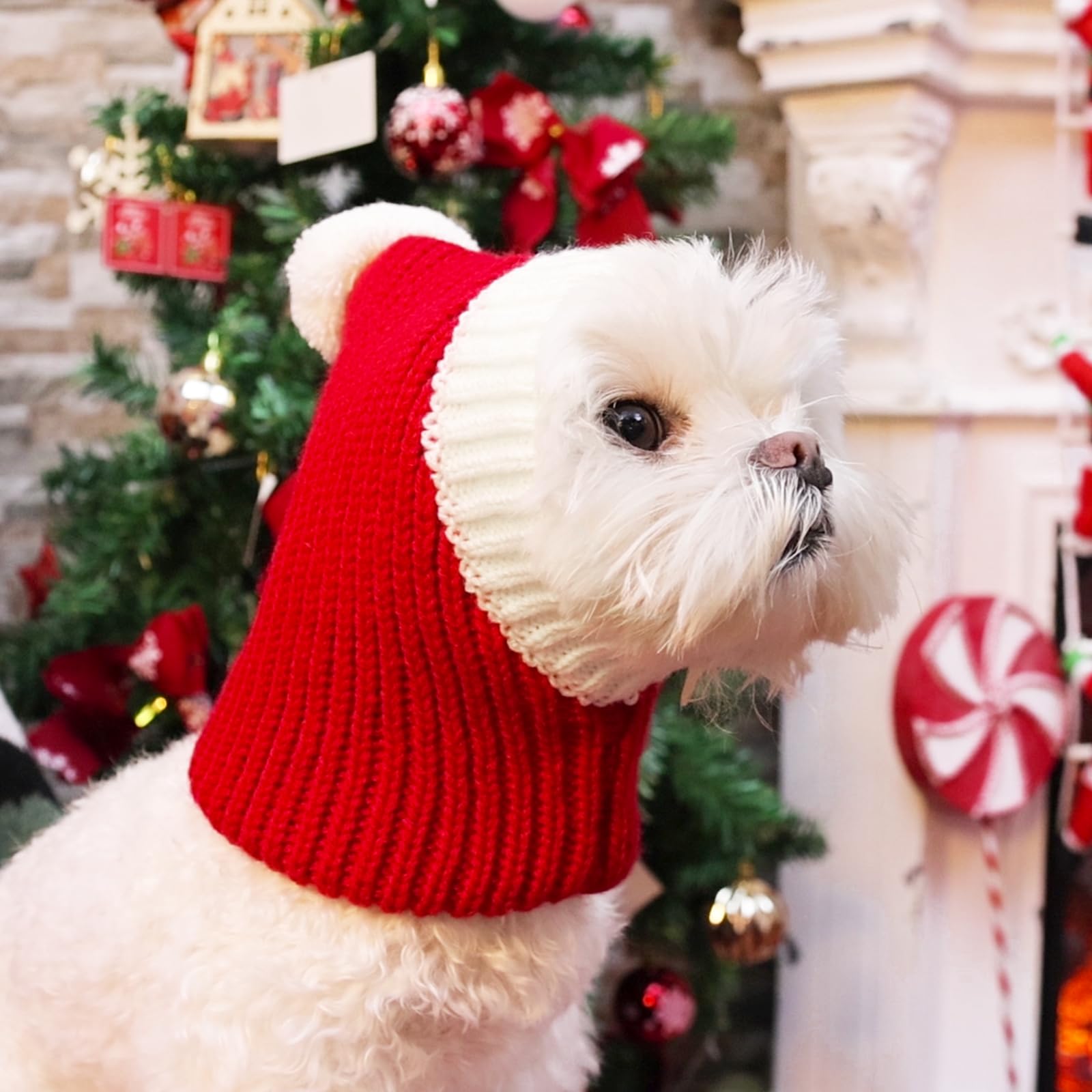 NACOCO Christmas dog hat on red showcases festive style and photogenic charm.