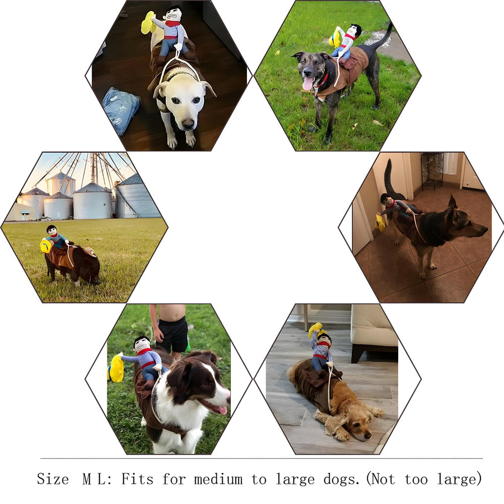NACOCO Cowboy Rider with hook-and-loop adjustment for precise sizing across breeds.
