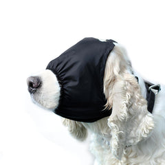 NACOCO dog calming cap front view provides gentle eye shading for anxious dogs.