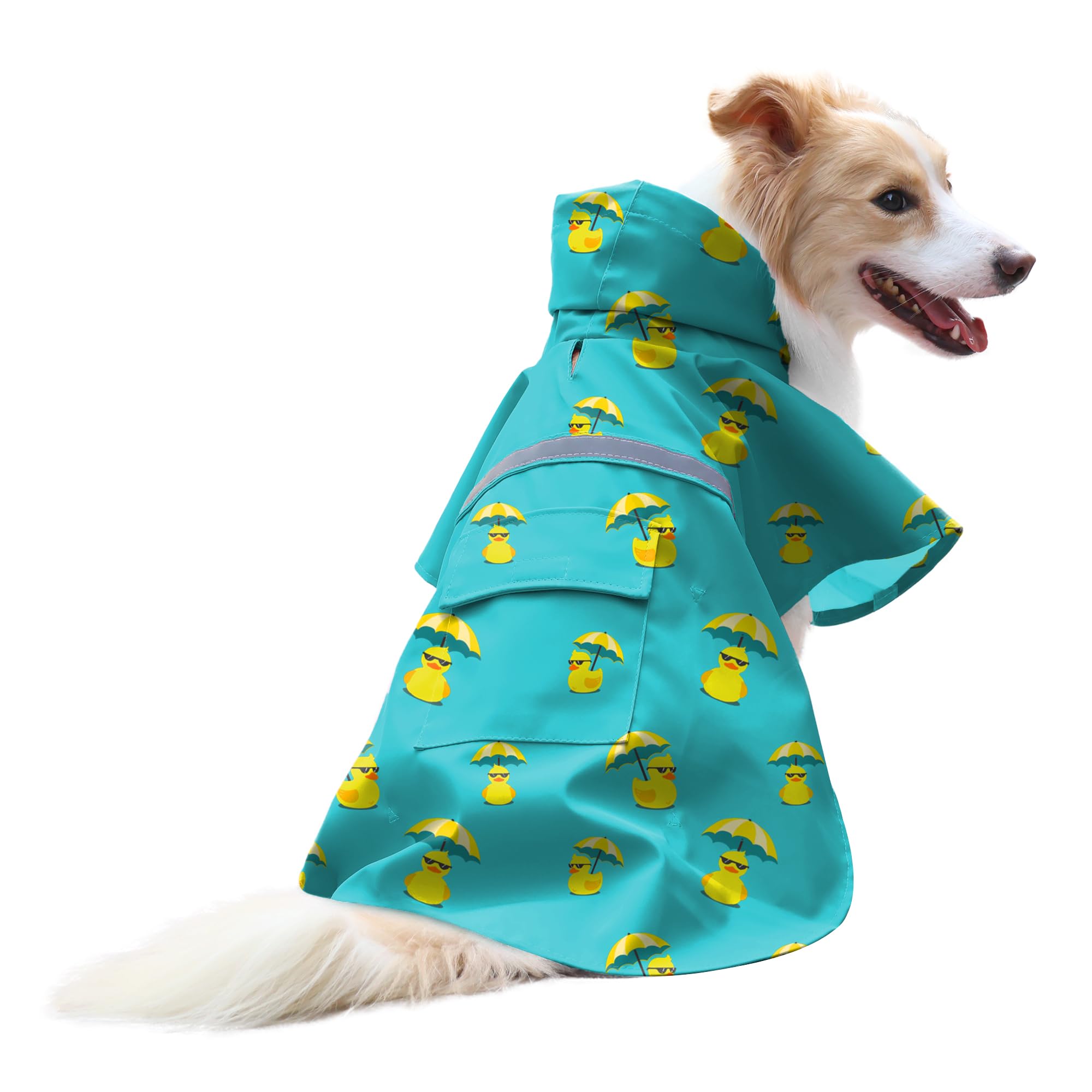 NACOCO dog raincoat lake-green back view keeps your pet dry on walks