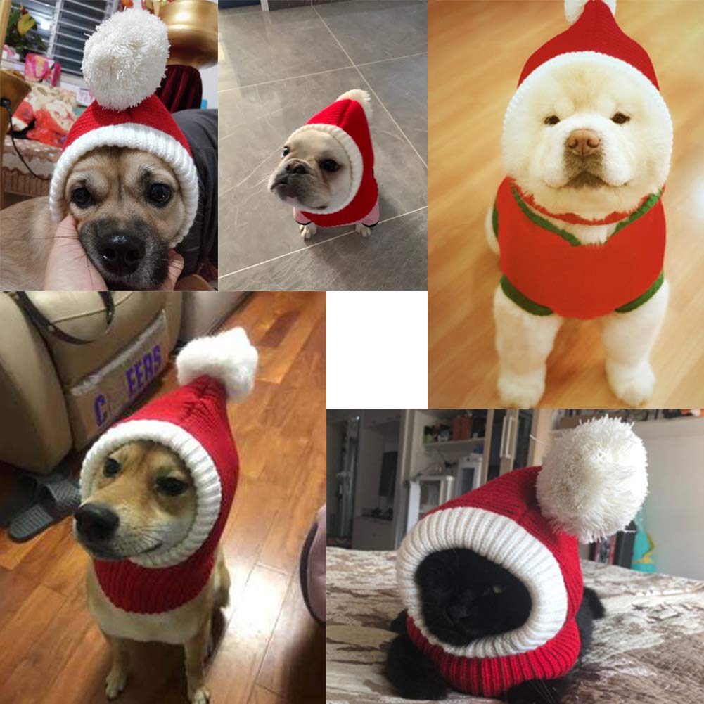 NACOCO winter hat paired with pets and people in festive lifestyle shot.