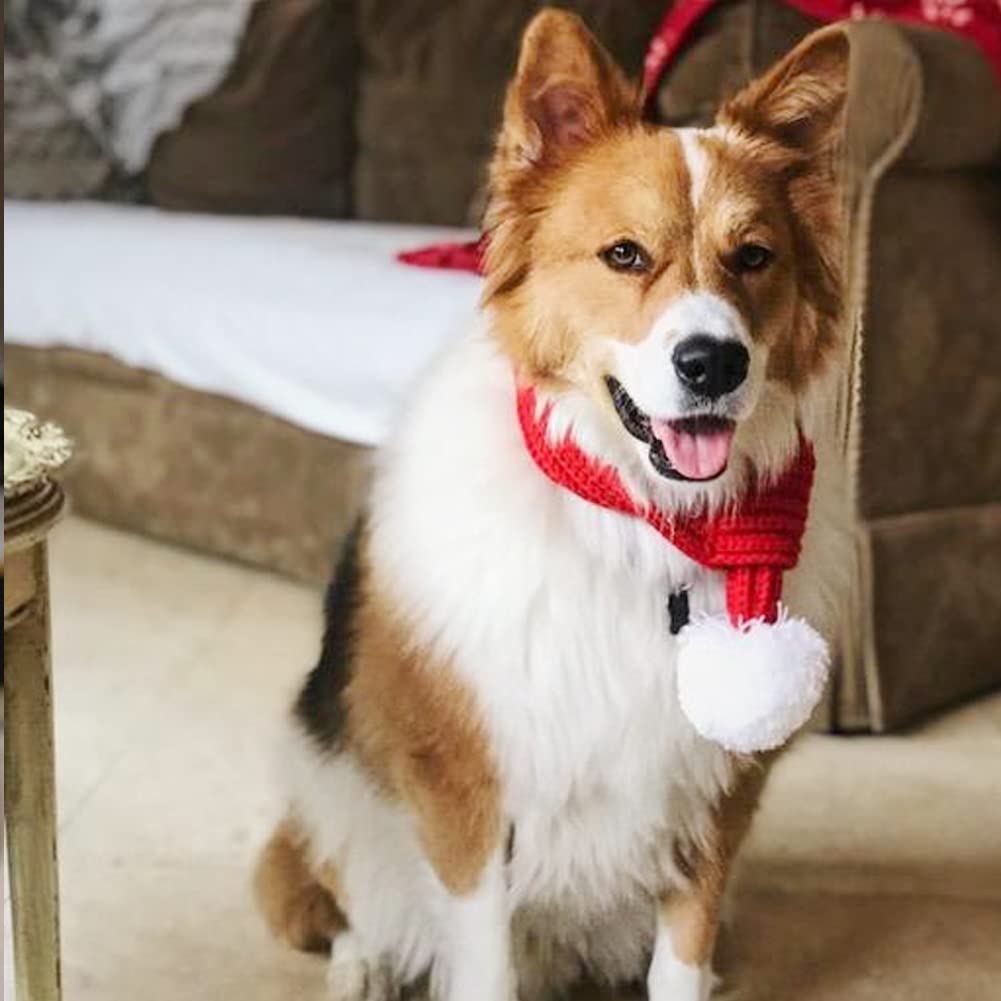 NACOCO pet knitted scarf bandana in red enhances photo-ready holiday style.