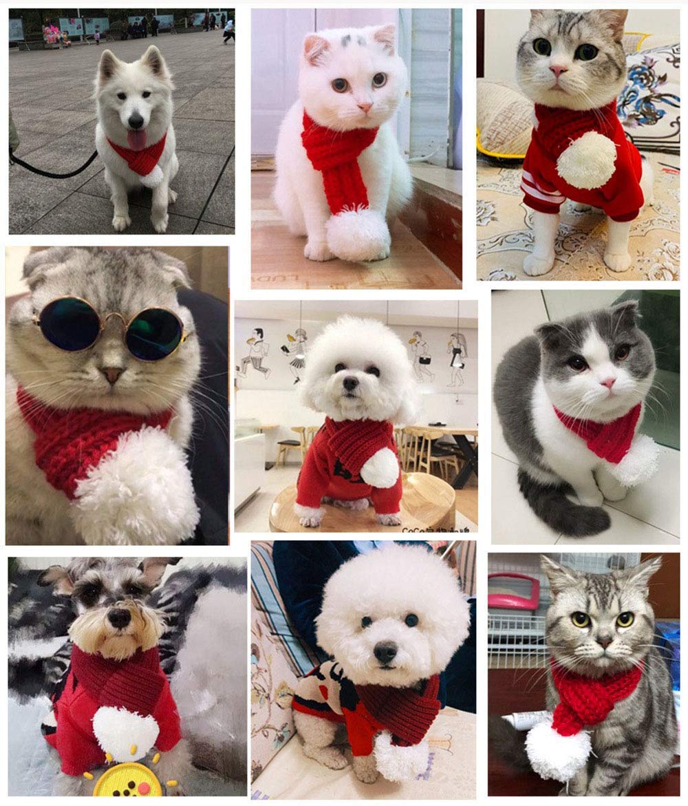 NACOCO pet photoshoot scarf red adds charming seasonal detail.