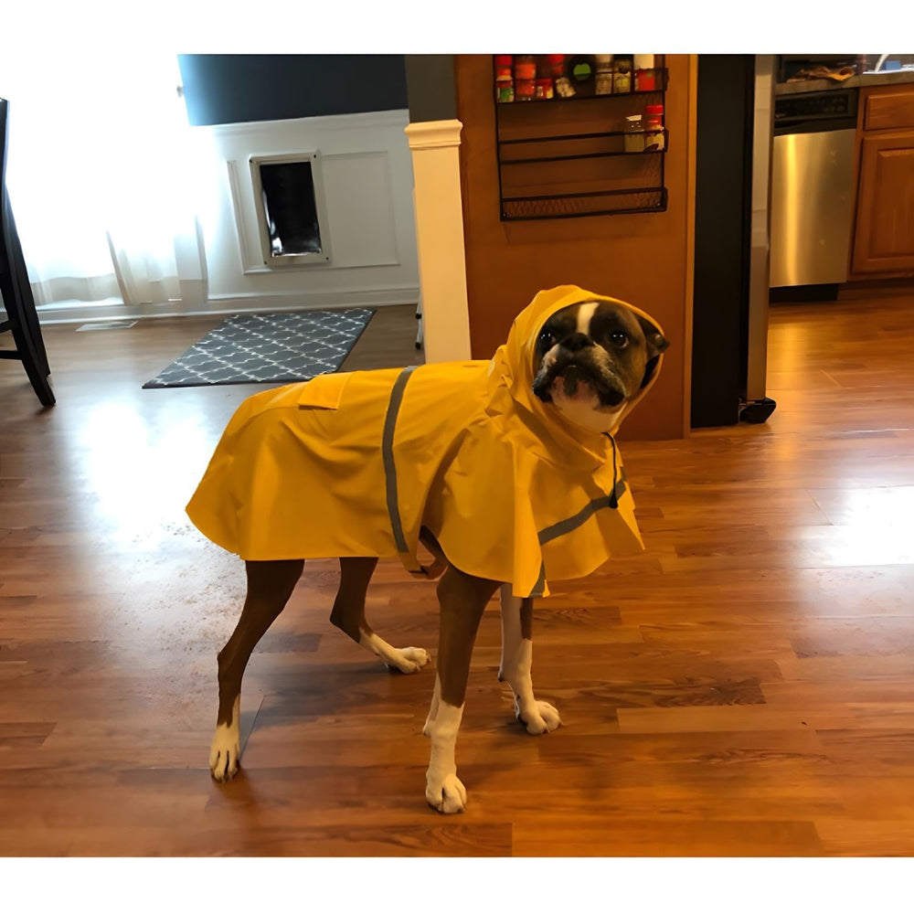 NACOCO raincoat shows reflective back strip for enhanced nighttime visibility