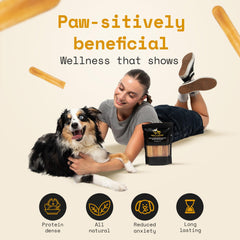 NAK Himalayan Yak Cheese Dog Chews dog enjoys chewing with dental support.