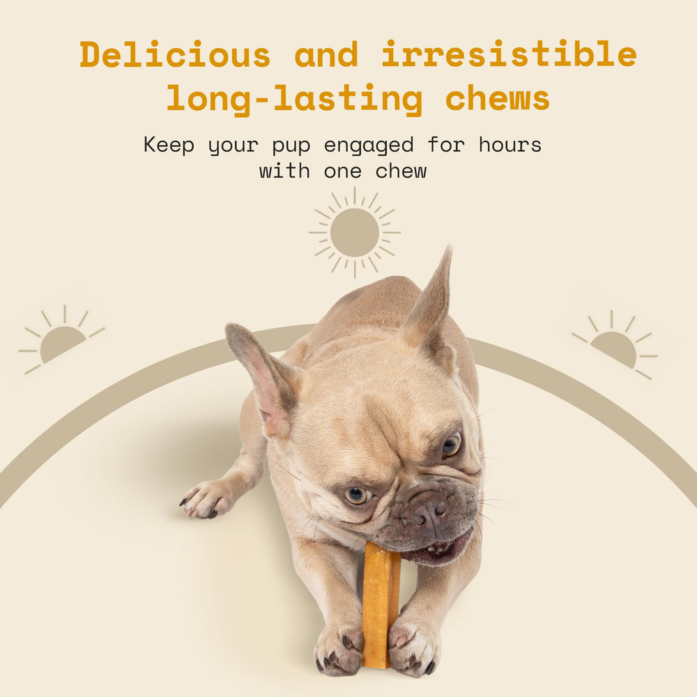NAK Himalayan Yak Cheese Dog Chews gluten-free and lactose-free claim on packaging.