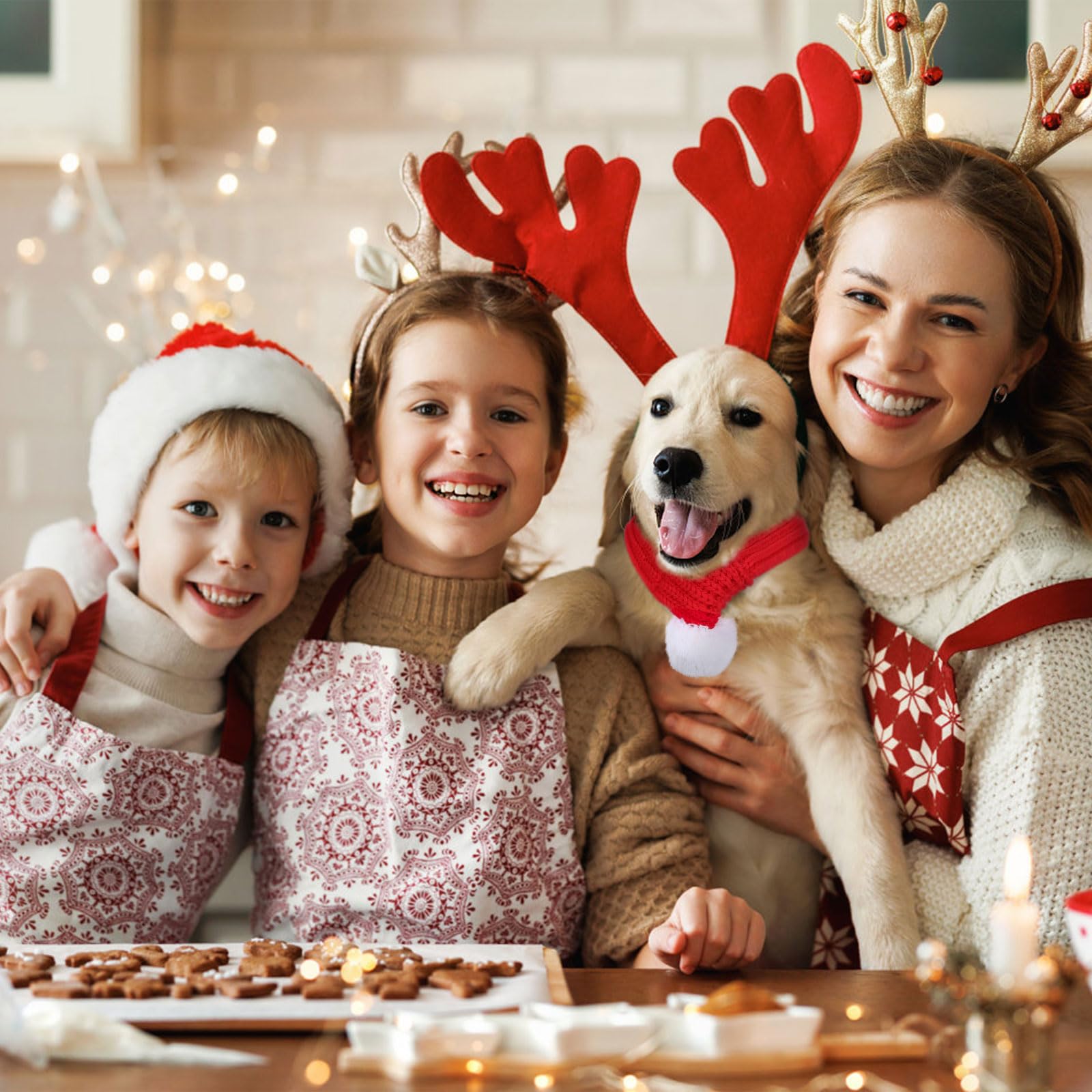 Naler dog Christmas scarf worn for party outfits and cute winter looks.