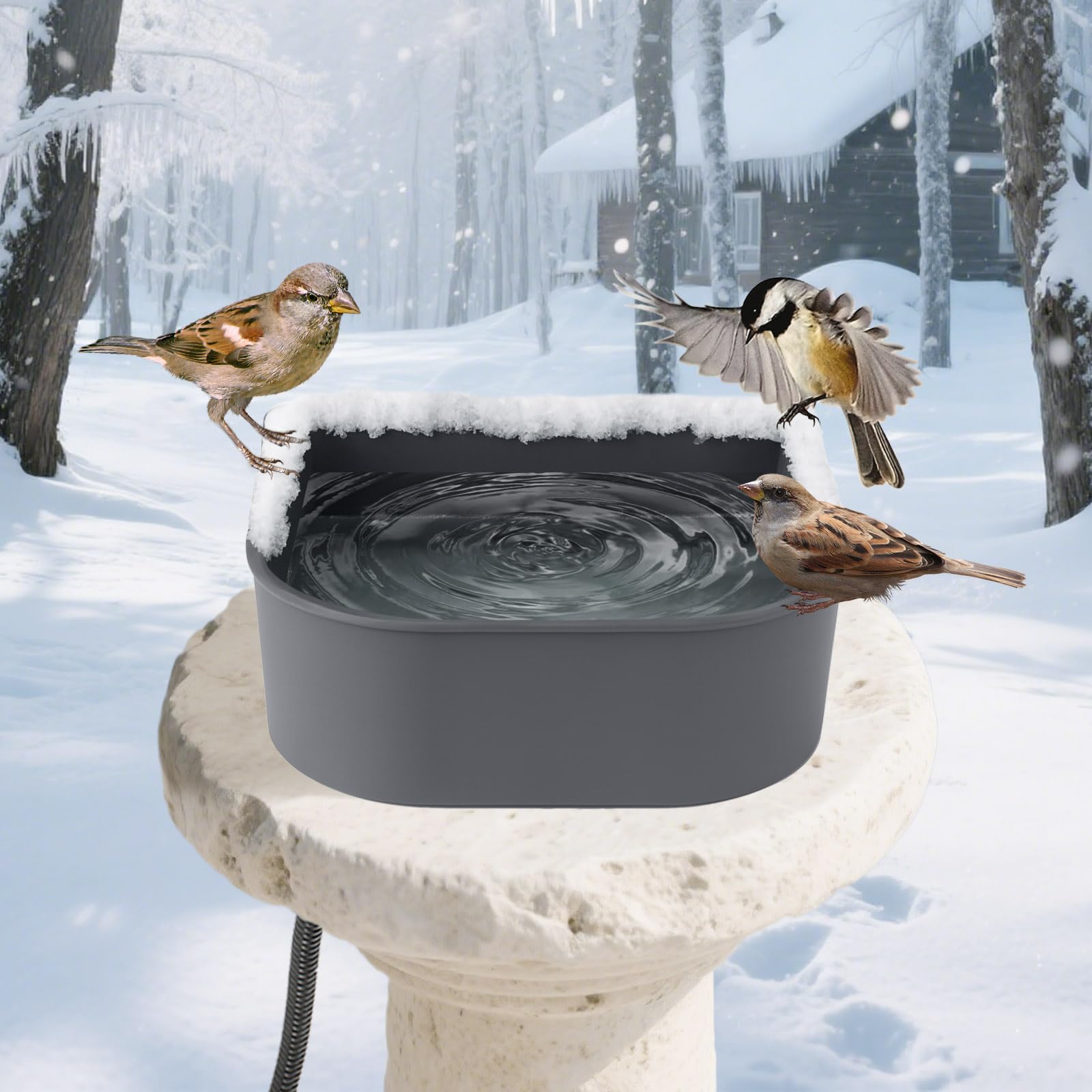 NAMSAN 1L capacity supports small pets with fewer refills
