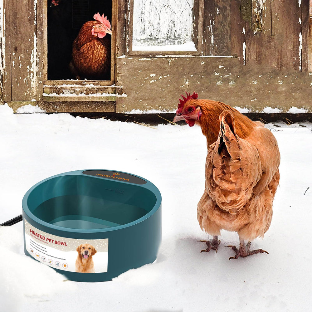 NAMSAN bird bath warming feature supports winter water availability.