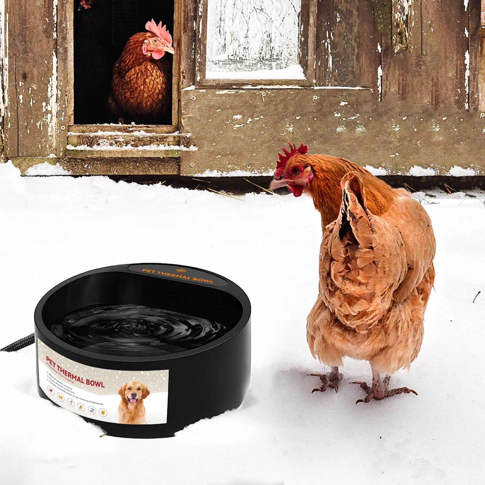 NAMSAN BPA-free ABS bowl offers safe, durable winter hydration