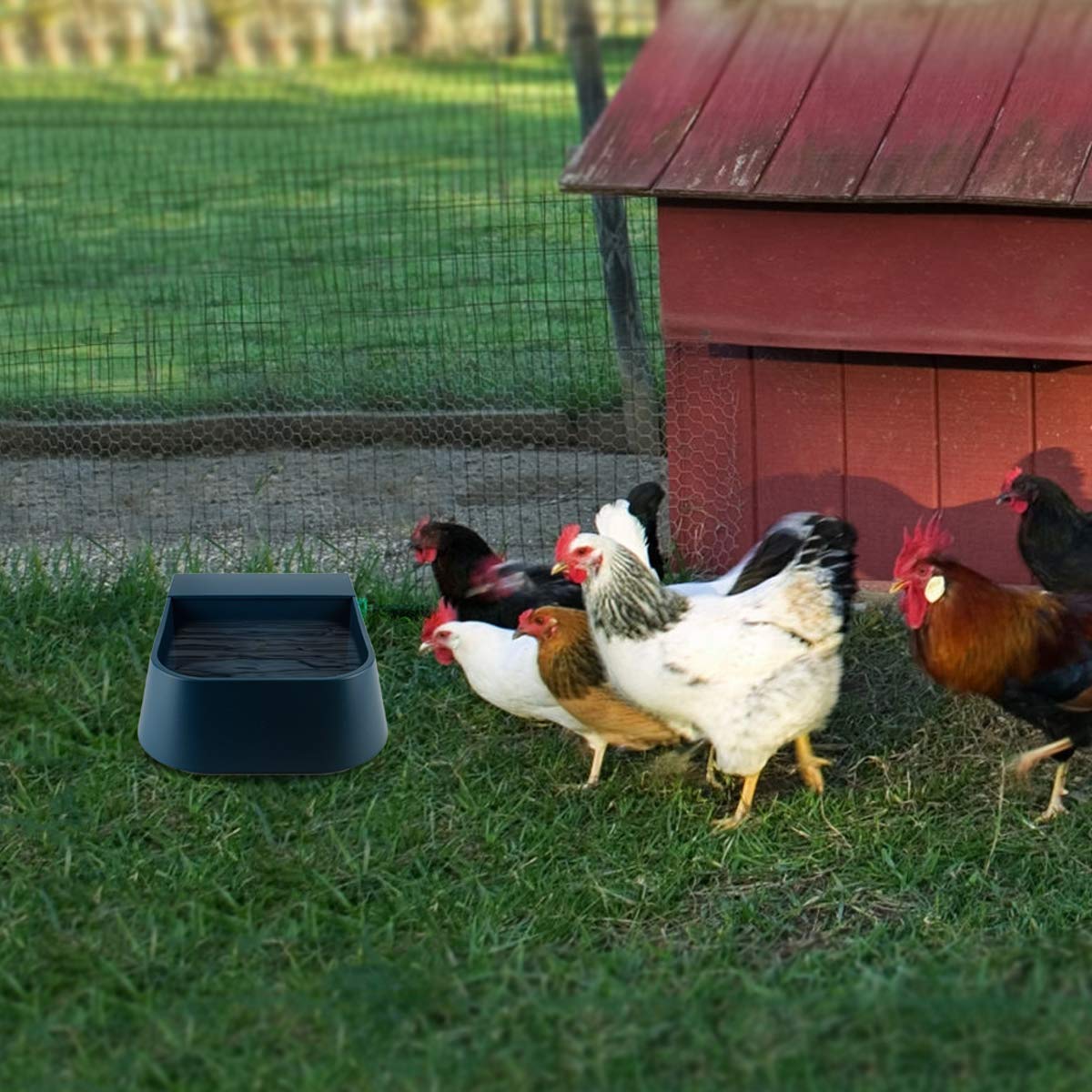 NAMSAN BPA-free plastic waterer safe for daily use