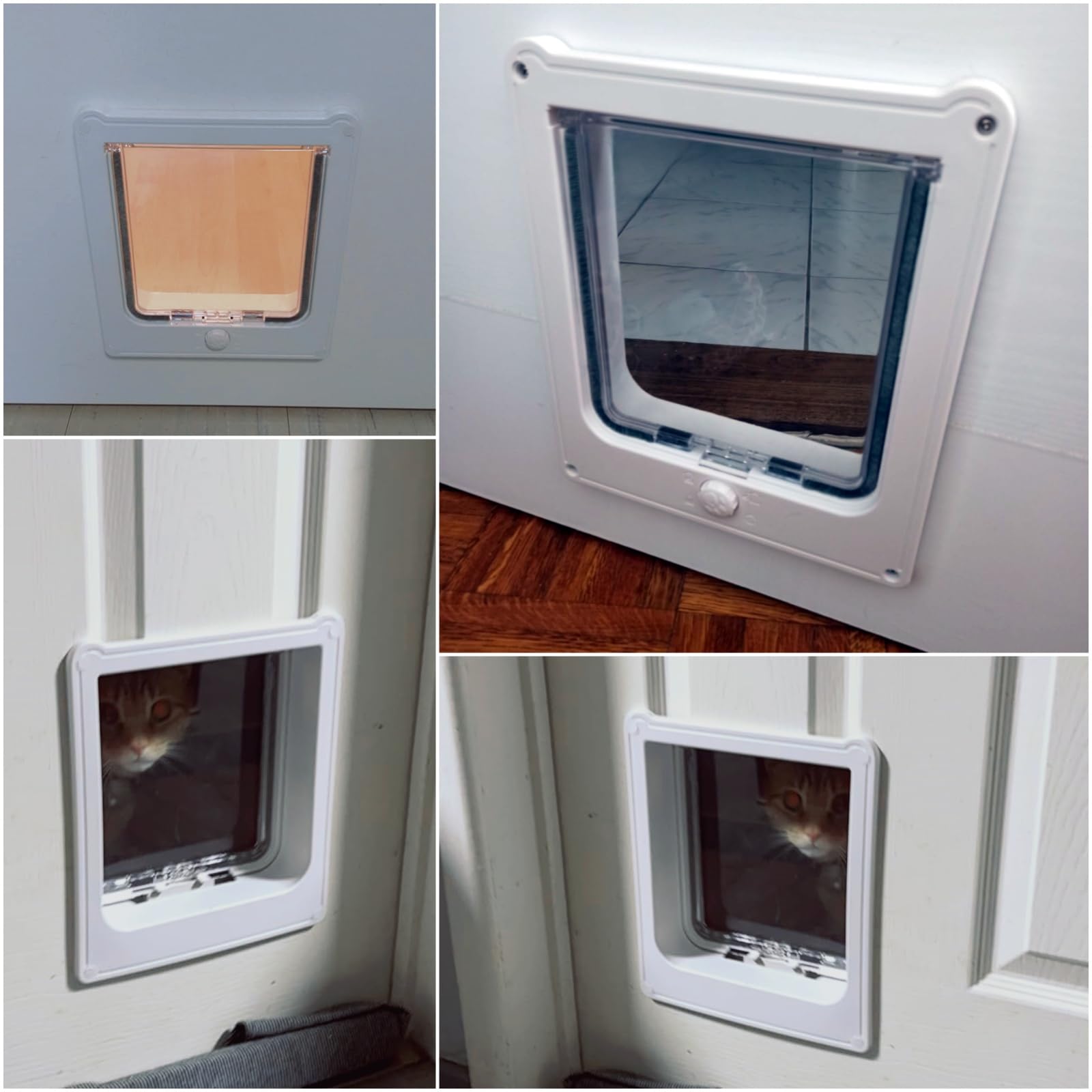 NAMSAN cat door four-way lock in action for controlled access