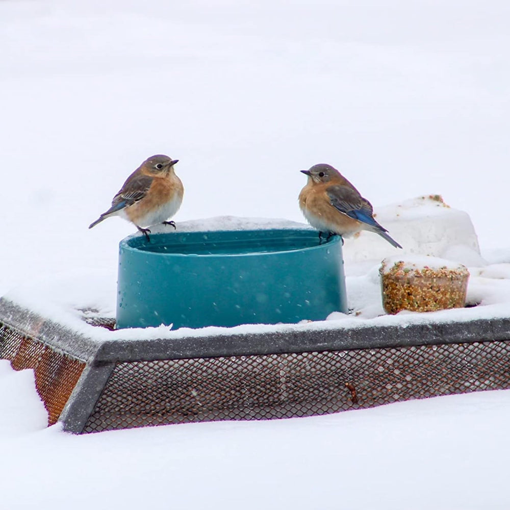 Namsan bowl suitable for chickens and rabbits with water access.