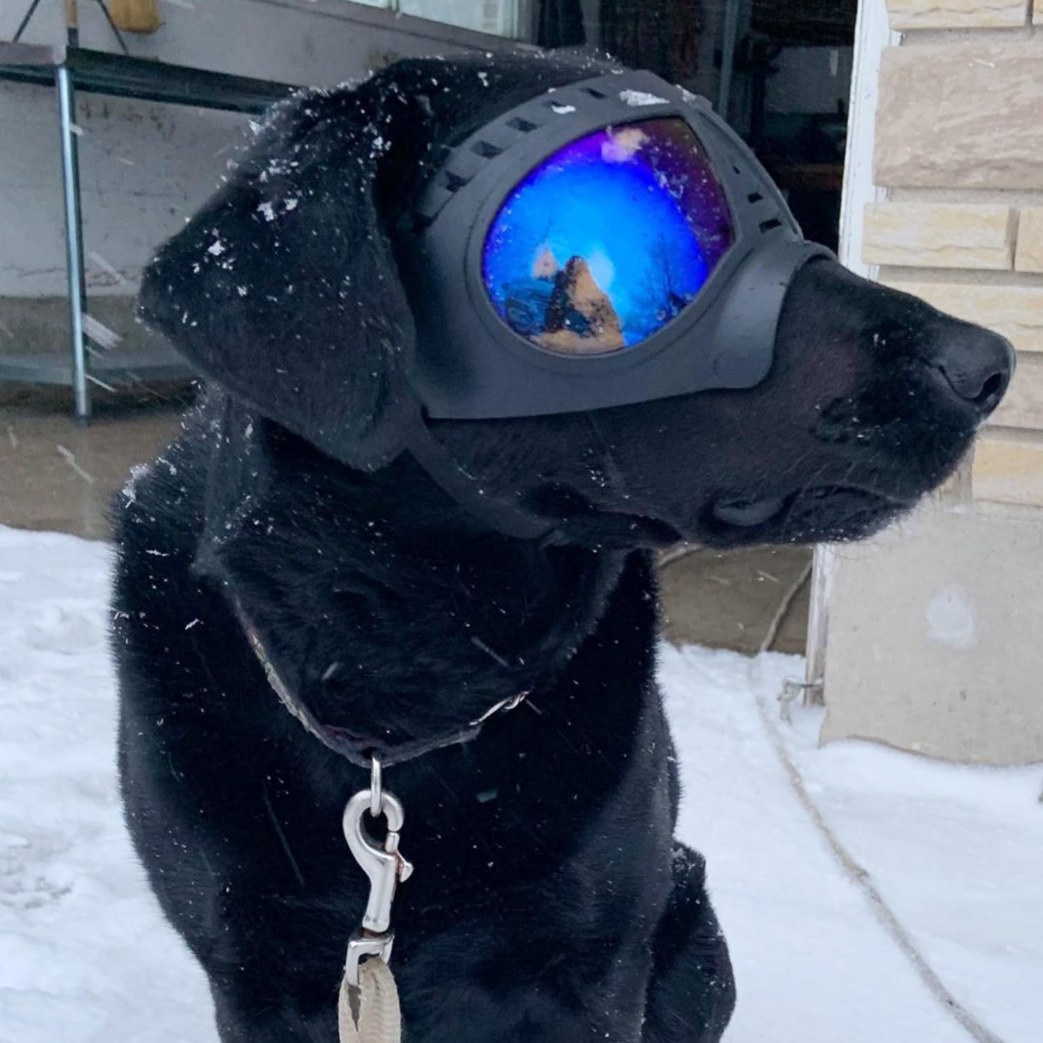 NAMSAN Clear Dog Goggles top vent system reduces internal fog for clearer vision.