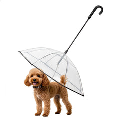 Namsan clear dog umbrella provides full small-dog coverage during rainy walks