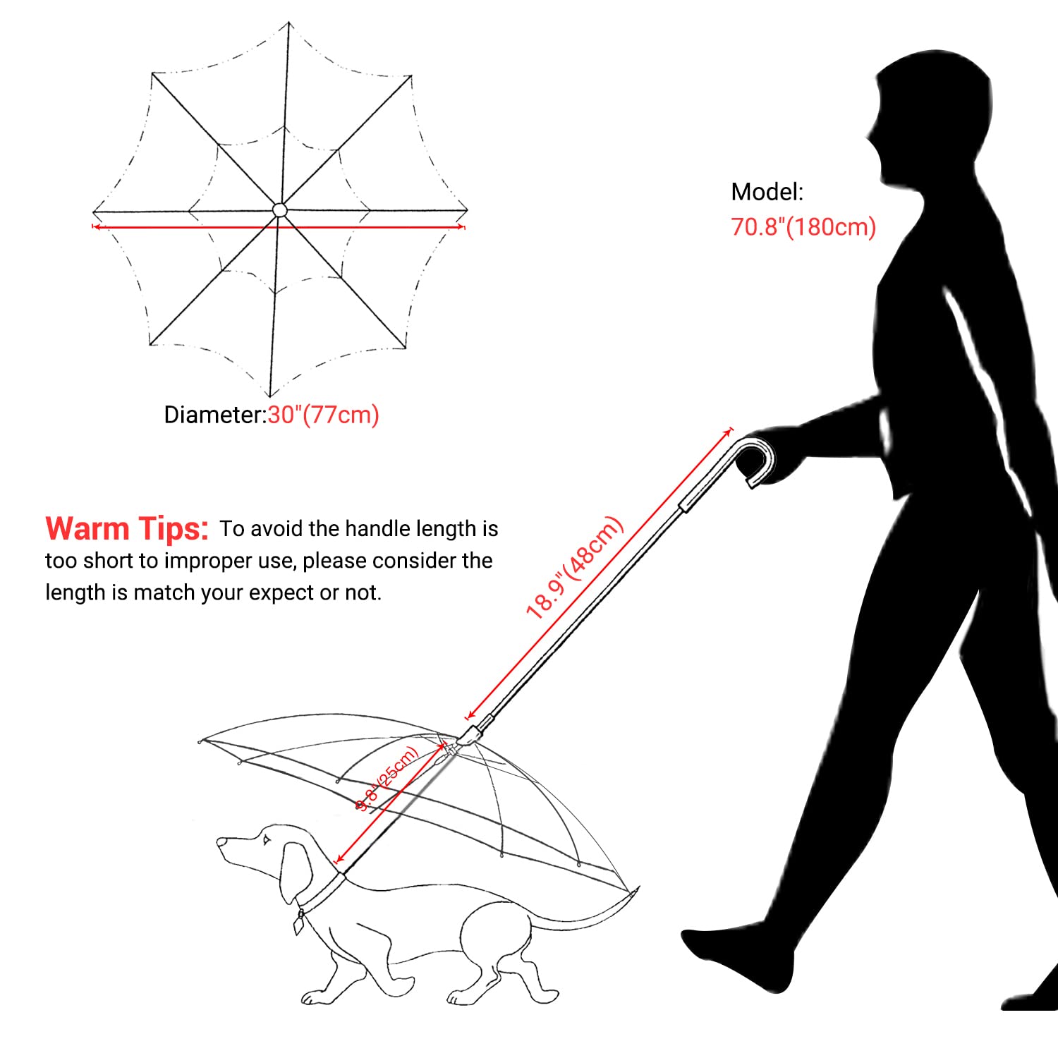 Namsan transparent canopy lets dog see surroundings while staying dry