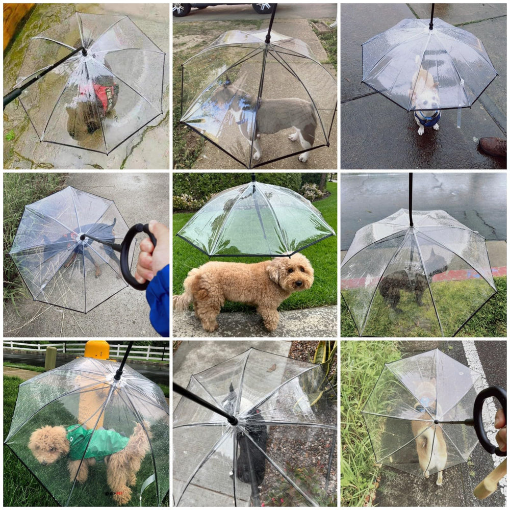 NAMSAN Clear Dog Umbrella walking-rainy-day view during a rainy stroll