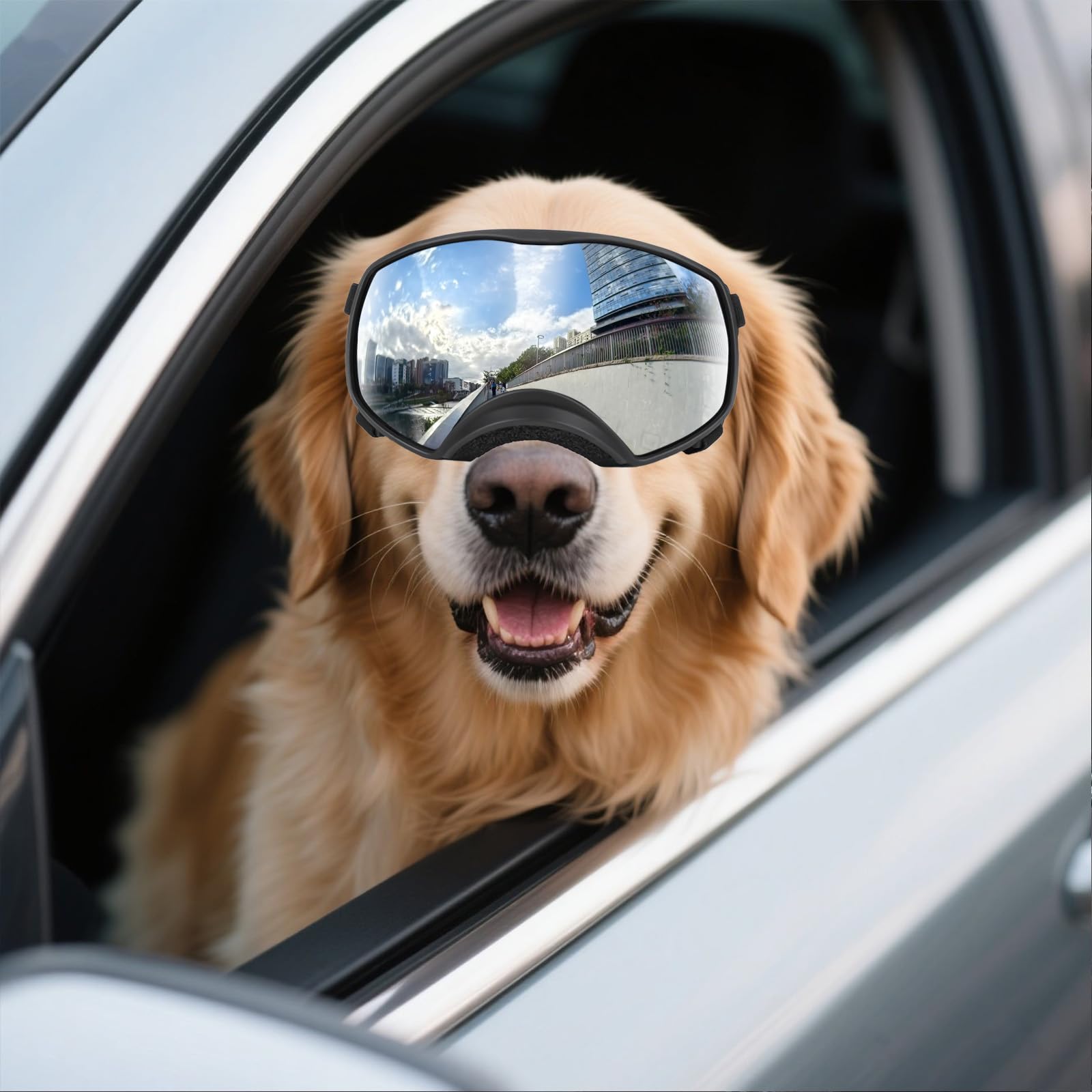 NAMSAN dog goggles adjustable head and chin straps for a secure fit