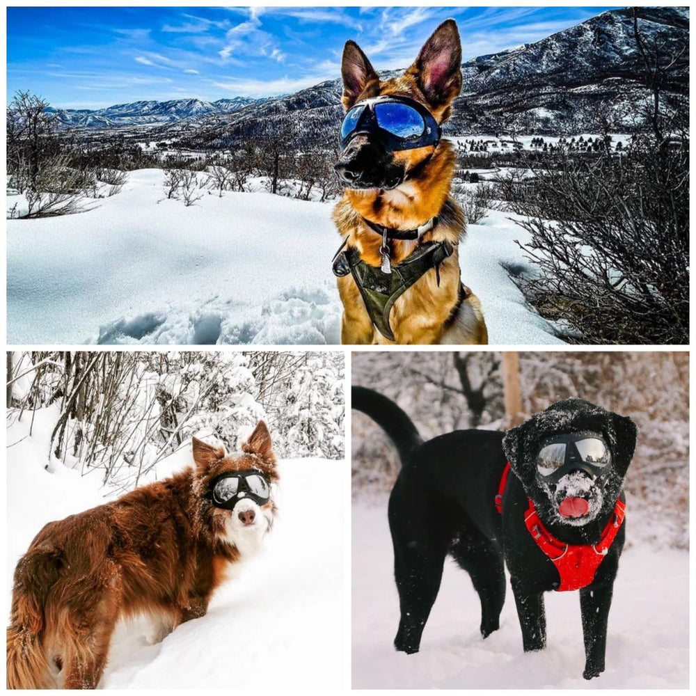 NAMSAN dog goggles adjustable elastic straps keep glasses secure on growing or active dogs