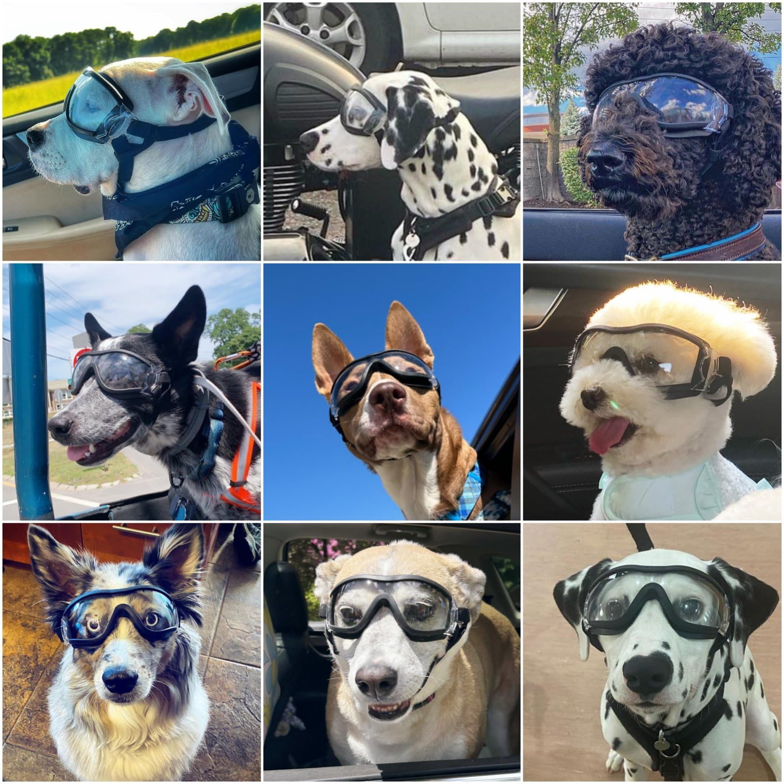 NAMSAN Clear Dog Goggles adjustable straps secure a comfortable fit for active dogs.