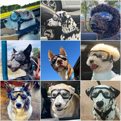 NAMSAN Clear Dog Goggles adjustable straps secure a comfortable fit for active dogs.