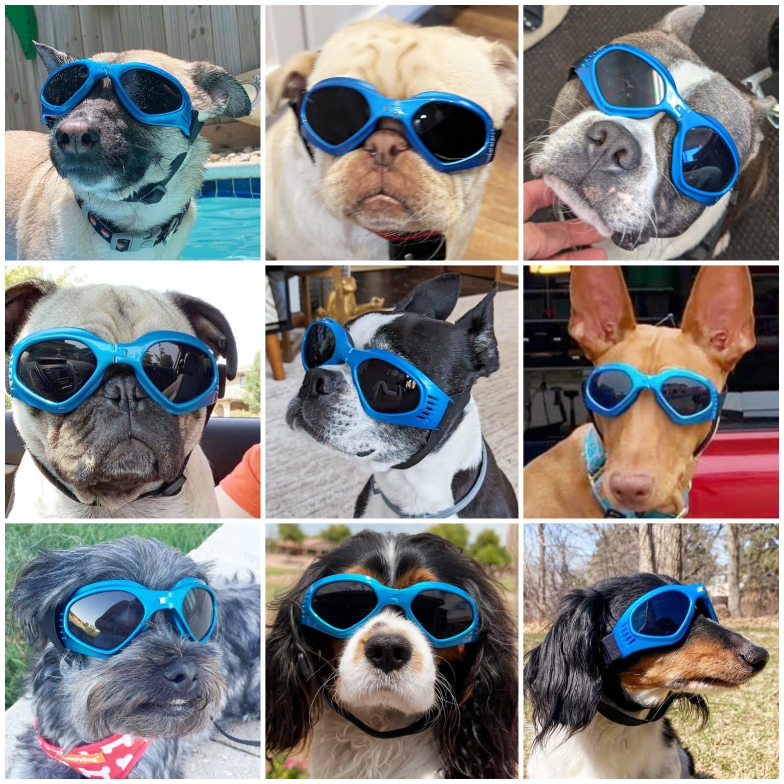 NAMSAN dog goggles adjustable-straps ensure secure fit during walks.