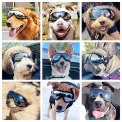 NAMSAN dog goggles anti-fog design keeps vision clear during hikes