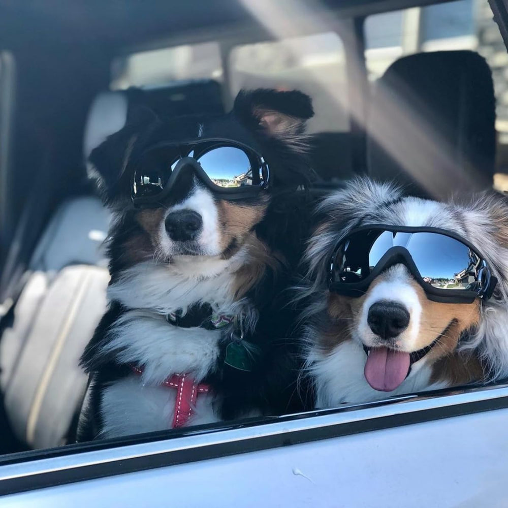 NAMSAN dog goggles black finish complements outdoor gear