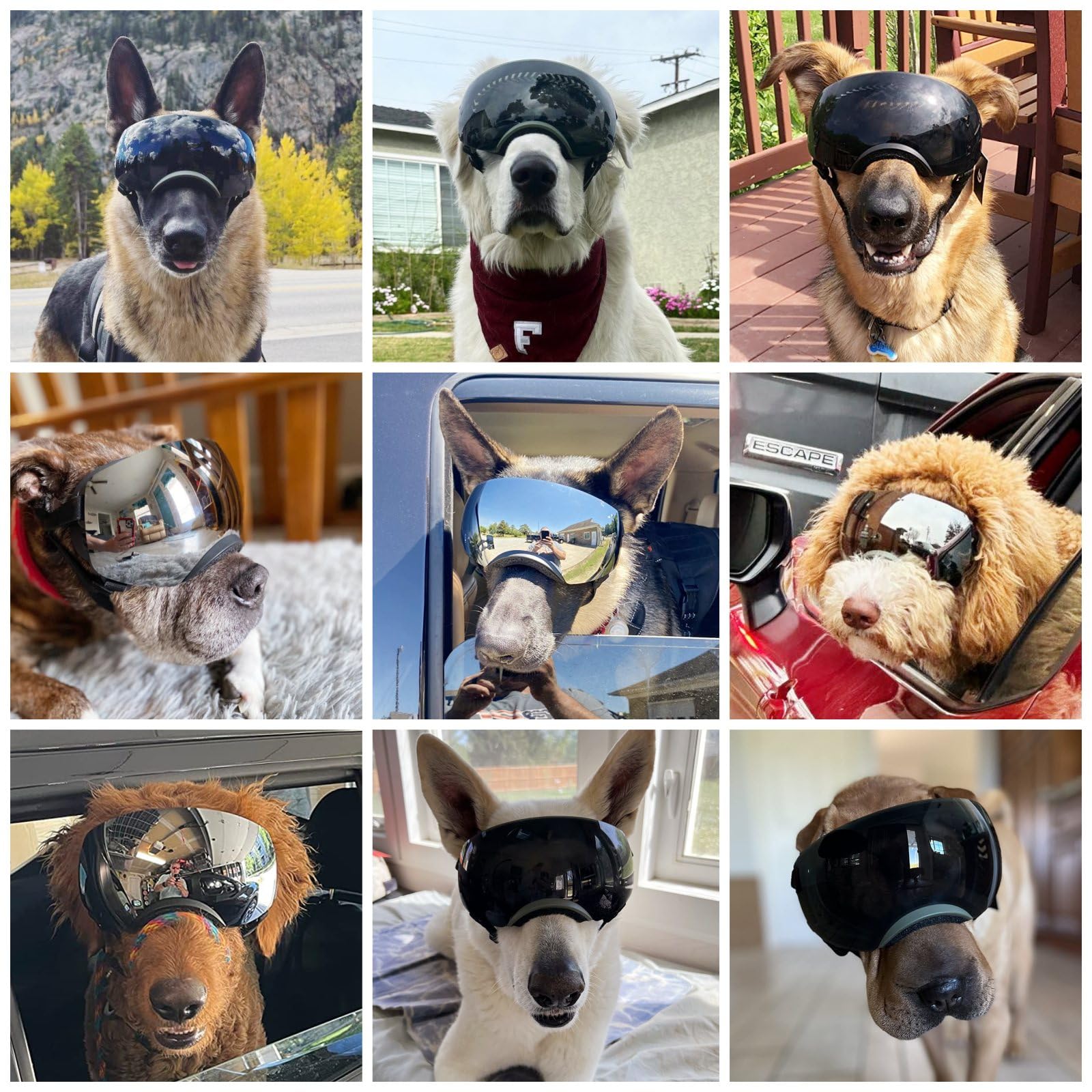 NAMSAN dog goggles feature breathable vents to reduce moisture and lens fogging.