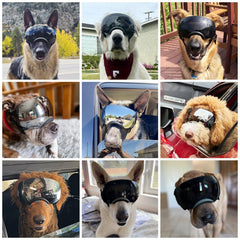 NAMSAN dog goggles feature breathable vents to reduce moisture and lens fogging.