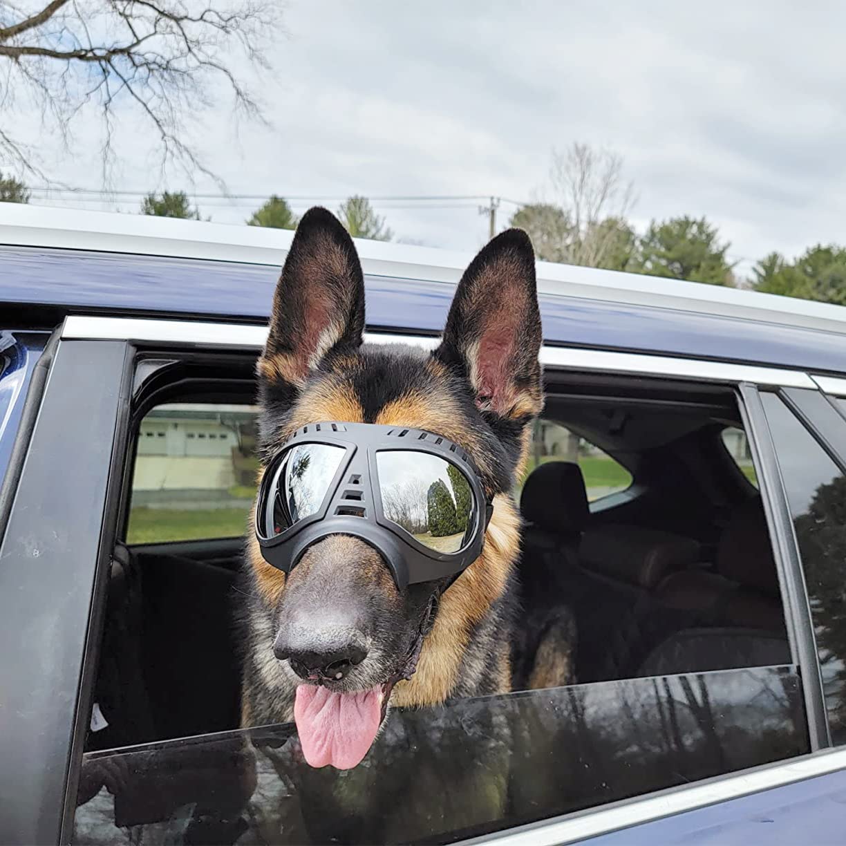 NAMSAN dog goggles fit German Shepherds, Labs, Huskies and other large breeds