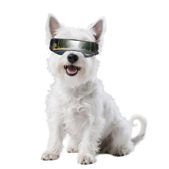 NAMSAN dog goggles front view showing UV protection for small breeds