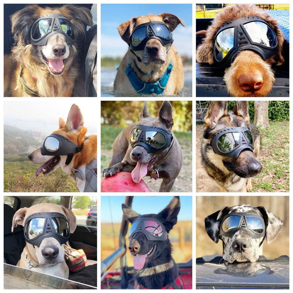 NAMSAN dog goggles lateral-fit ensure secure wear without rubbing sensitive areas
