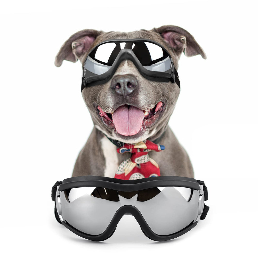 NAMSAN dog goggles with UV-resistant lenses for sunny outdoor adventures.