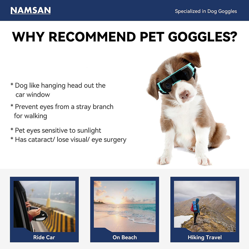 NAMSAN goggles on a puppy during car window drive for outdoor views.
