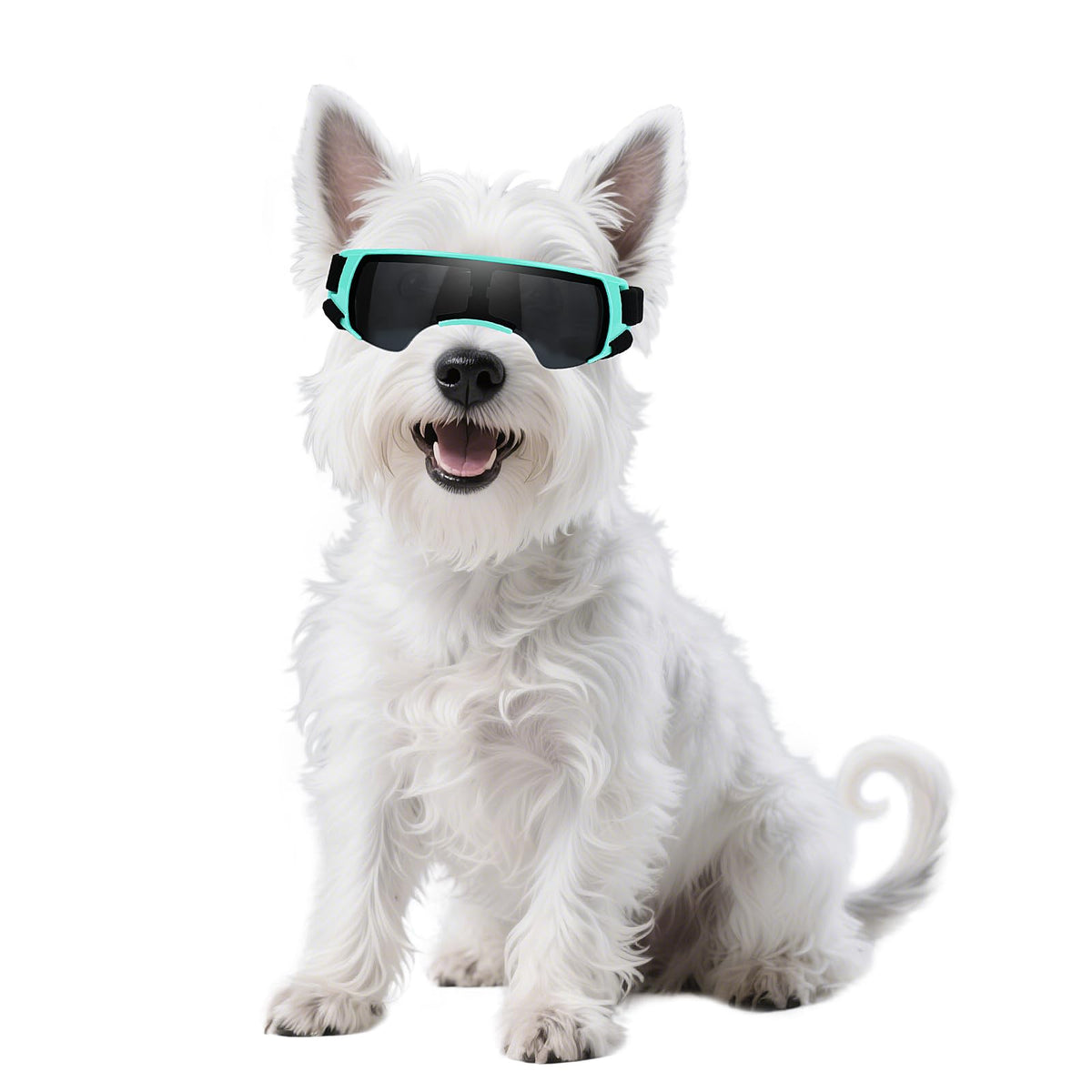 NAMSAN dog goggles front view show snug small-breed fit and coverage.